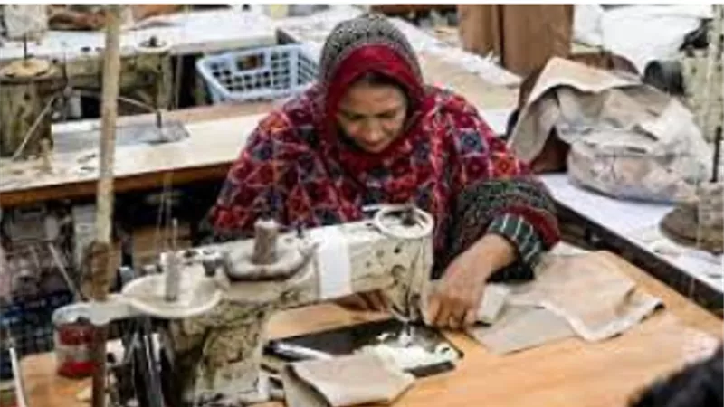 الجهاز المركزي للإحصاء: 48.6 % من المصريين في الداخل من الإناث