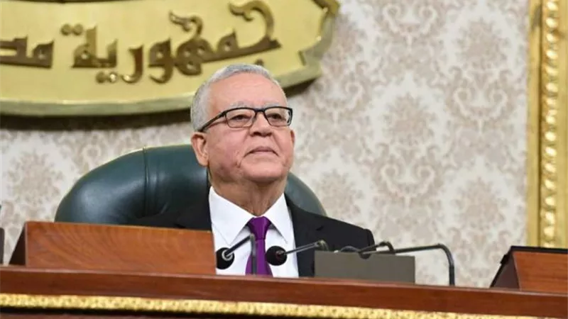 رئيس النواب يحيل مشروعي قانونين بشأن هيئة الشرطة والكهرباء للجان المختصة