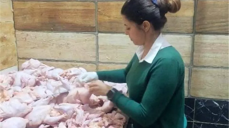 ضبط لحوم غير صالحة للاستهلاك الآدمي واعدام 2 طن دجاج نافق