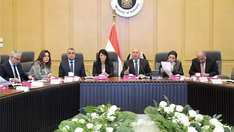 إقامة محطة تغذية كهربائية للمنطقة الصناعية في الإسماعيلية