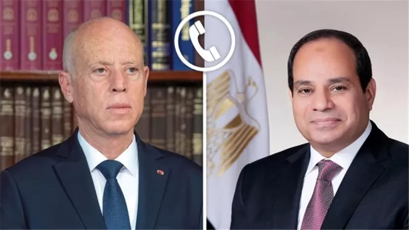 الرئيس السيسى ونظيره التونسى يؤكدان رفضهما التام لتهجير الفلسطينيين
