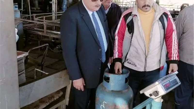 ١٦٢٠ مخالفة تموينية بأسواق دمياط
