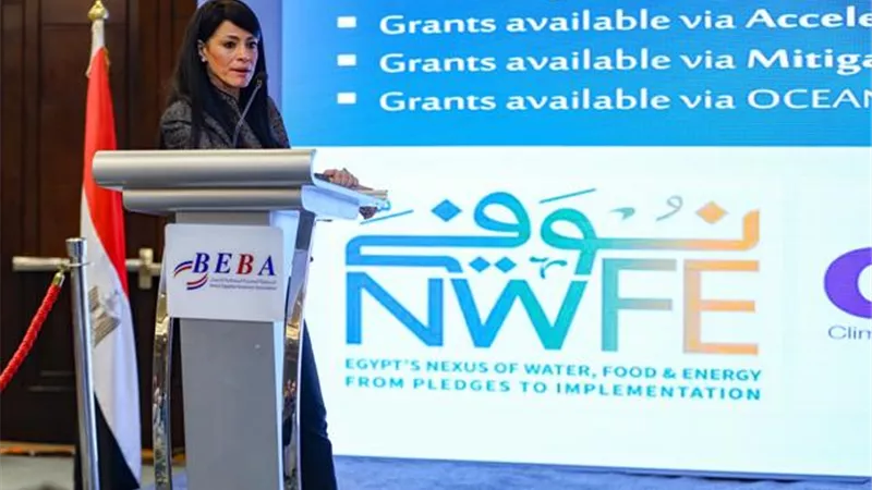 المشاط: موافقة صندوق النقد الدولي وانخفاض التضخم يعززان ثقة المستثمرين