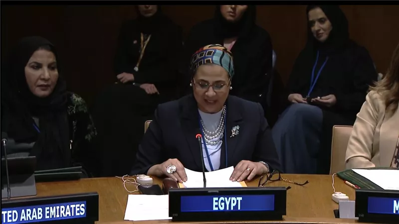 المستشارة أمل عمار:مصر حققت تقدمًا ملموسًا لتمكين المرأة اقتصاديا