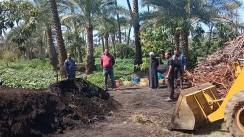 إزالة مكمورة فحم نباتى مخالفة بدمياط