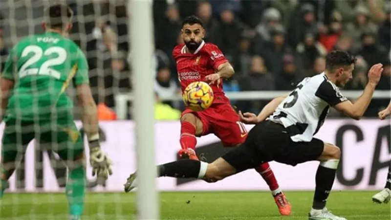ليفربول ونيوكاسل في نهائي