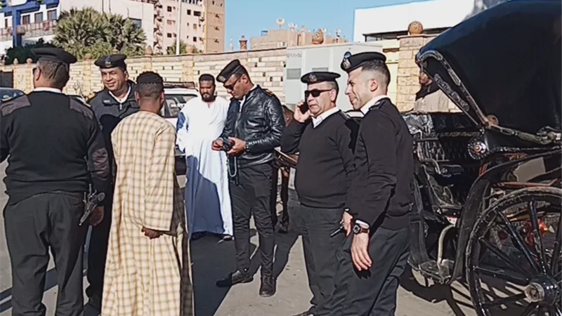 تحرير ٩٣ محضرا في حملات صباحية ومسائية لمرافق الأقصر