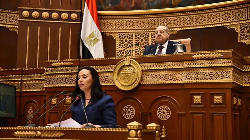 وزيرة التضامن: يتم العمل لزيادة مخصصات برامج الحماية الاجتماعية