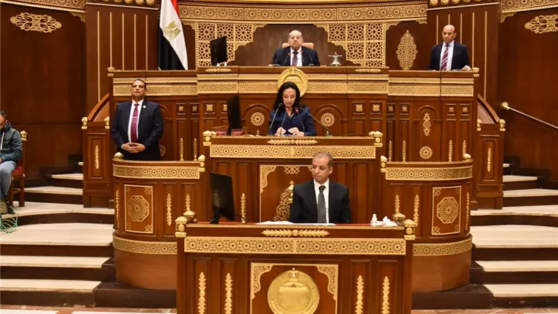 مايا مرسي: عدد أبناء أسر تكافل فى مراحل التعليم بلغ 5.5 مليون