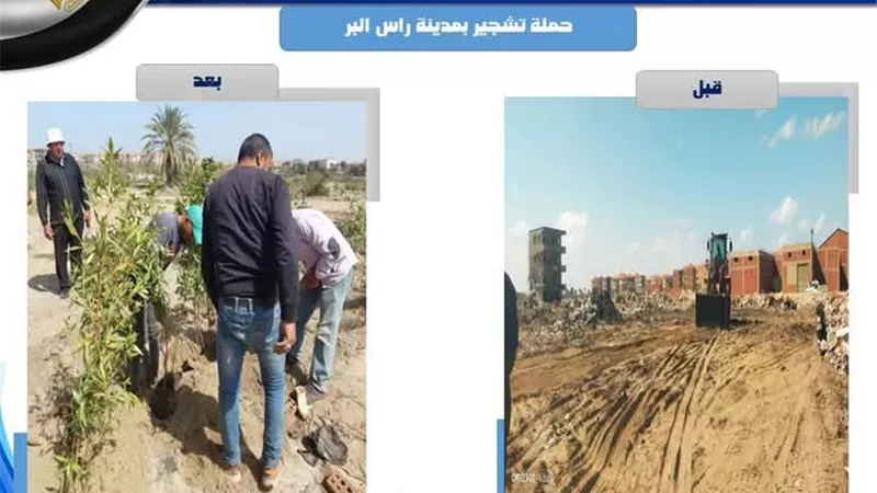 حملات لمكافحة الحشرات وناقلات الأمراض برأس البر