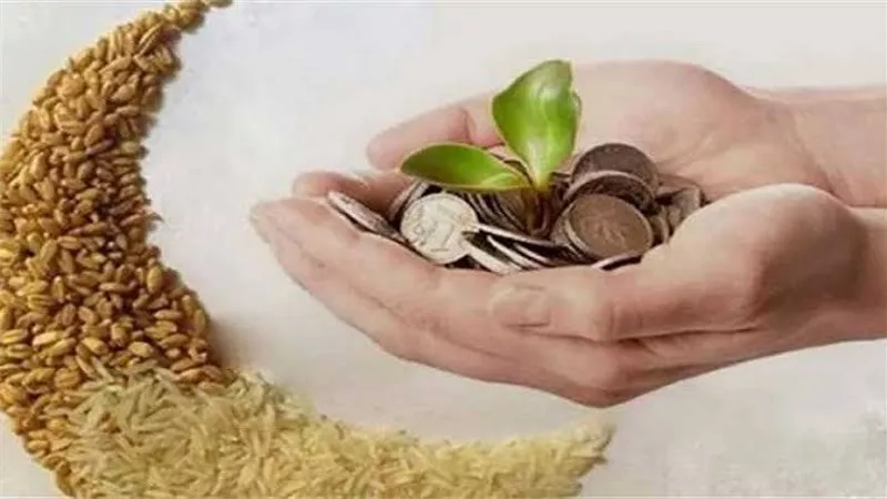 أمين الفتوى: 35 جنيهًا الحد الأدنى لزكاة الفطر