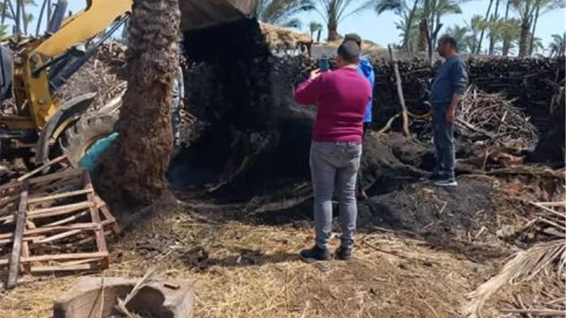إزالة مكمورتين فحم نباتى بقرية الرياض بدمياط