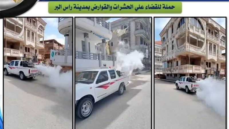 استمرار حملات مكافحة الحشرات والبعوض برأس البر