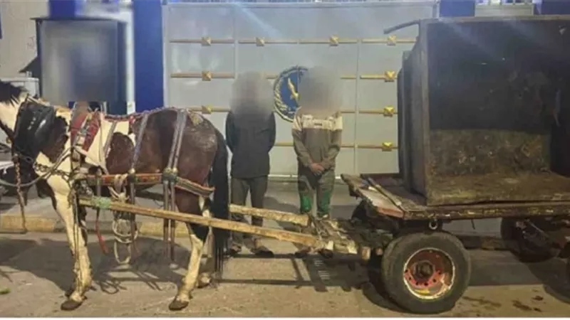 امن القليوبية يضبط عصابة صناديق القمامة ببنها