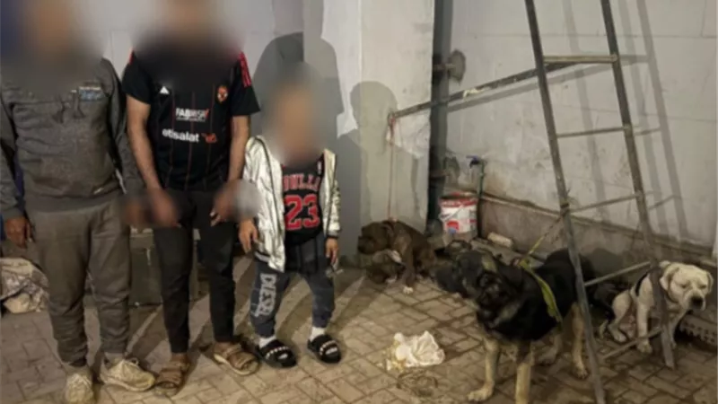ملابسات فيديو ل 3 أشخاص يتاجرون فى بالكلاب الشرسة بالقليوبية