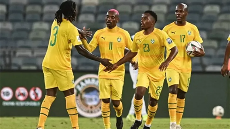 زيمبابوى تتعادل مع بنين 2 - 2 فى تصفيات مونديال 2026