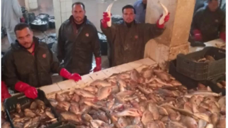 جهاز حماية وتنمية البحيرات يواصل أعمال الصيد لهذا العام