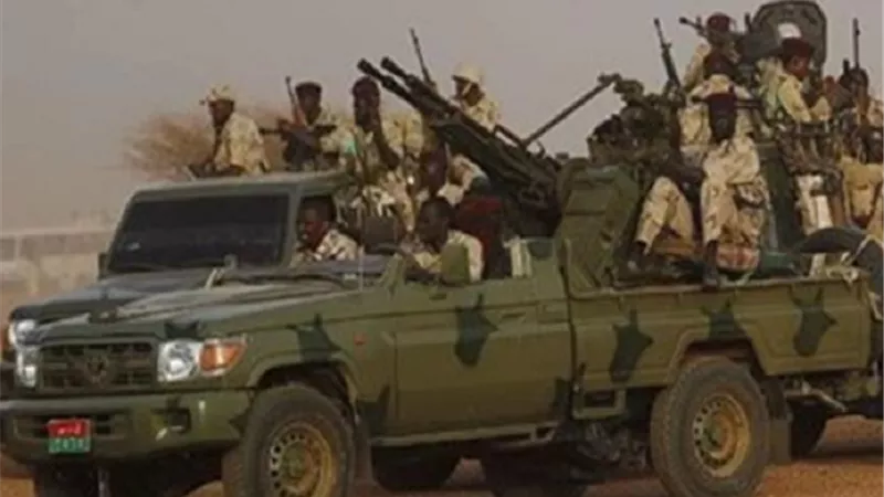 صلاح حليمة: تضامن شعبي واسع مع الجيش السوداني في مواجهة قوات الدع