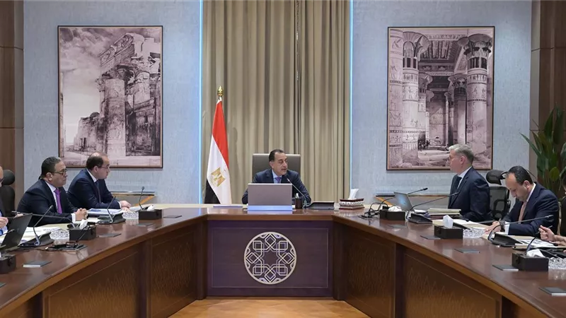 مدبولي يتابع عددا من ملفات العمل المشتركة بين المالية والبترول