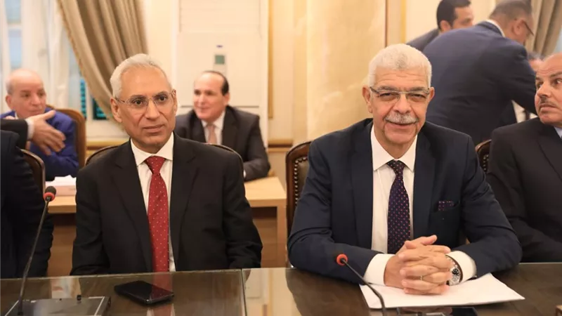 رئيس جامعة المنيا يشارك فى اجتماع المجلس الأعلى للجامعات
