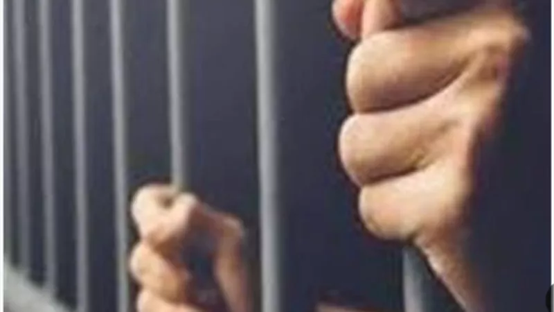 المشدد 7 سنوات للمتهم بقتل شقيقه بالخصوص
