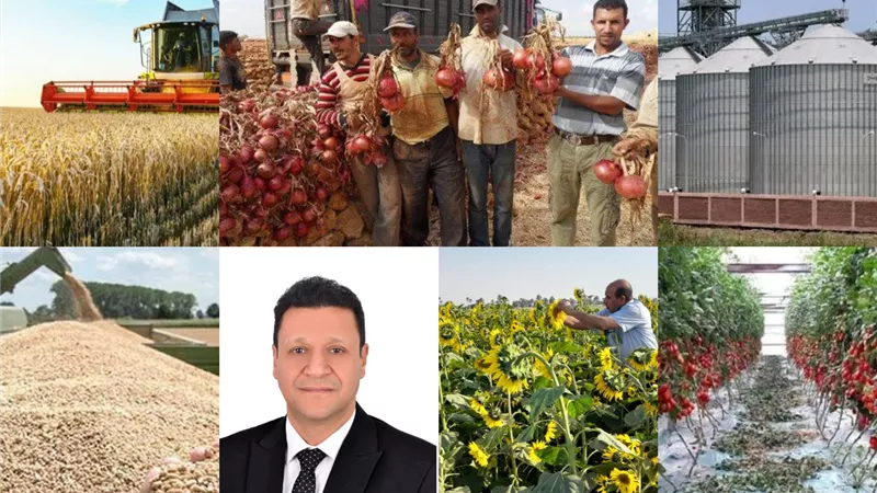 المشروعات القومية ساهمت في الاكتفاء الذاتي..وسد الفجوة الغذائية