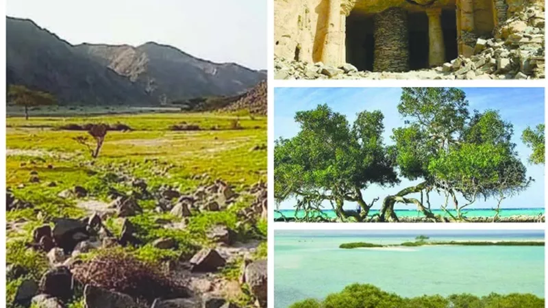 وادي الجمال.. وجهة الأبطال لهواة المشي وتسلق الجبال