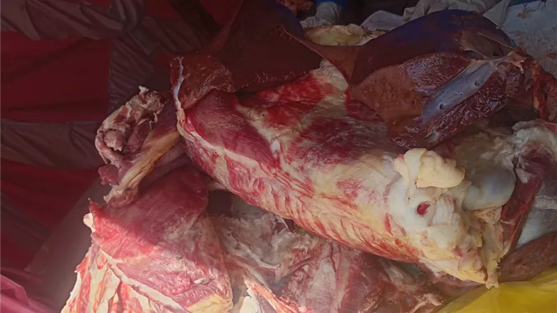 محافظ أسيوط: ضبط لحوم ودواجن غير صالحة للاستهلاك