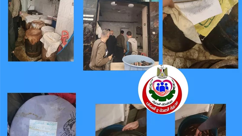 ضبط فسيخ وسردين مملح متهالك بالبحيرة