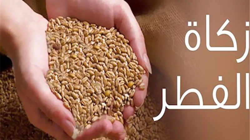 حكم تأخير زكاة الفطر بحجة توزيعها حبوبا على مدار السنة