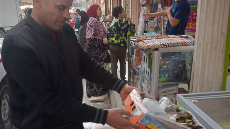 الجيزة تضبط ٦ أطنان و ٥٠٠ كجم من الأسماك المملحة فاسدة
