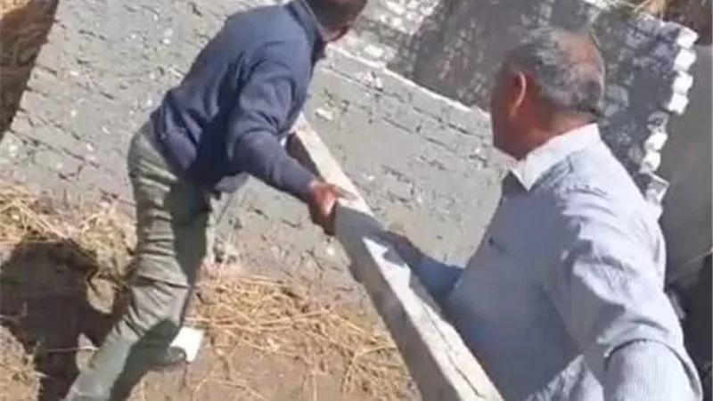 تنفيذ إزالةلتعديات بناءمخالف علي الأراضي الزراعية بالزقازيق