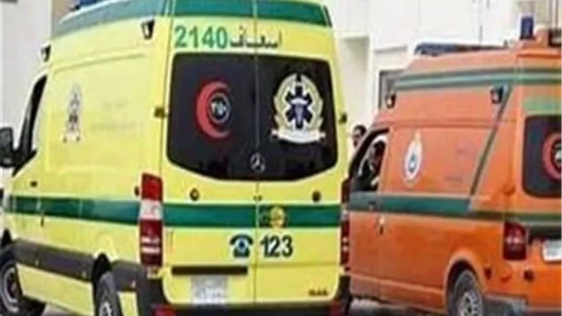 مصرع شخص وإصابة 3 اخرين في حادث تصادم بالدقهلية