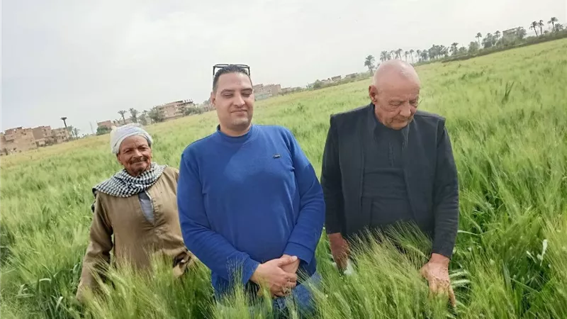 محافظ أسيوط: متابعة إنتاجية المحاصيل الزراعية خلال أيام عيد الفطر