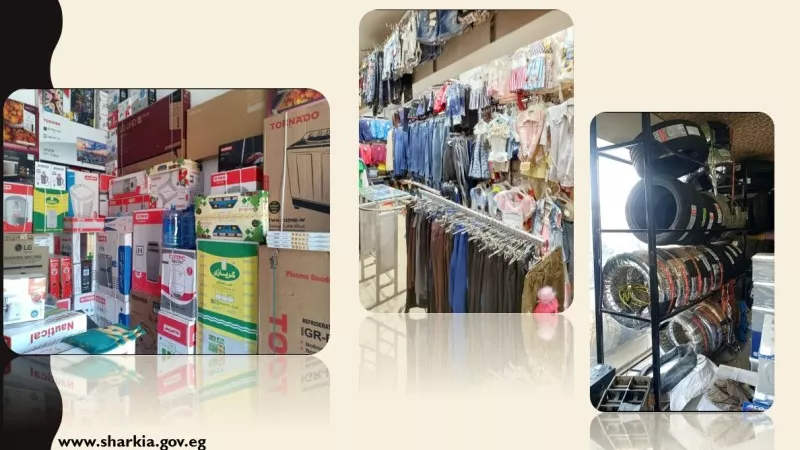 3 مليار و 464 مليون جنيه قروضا من مشروعك لشباب الشرقية