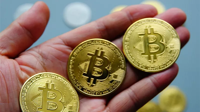 صدمة كبيرة.. امرأة تتخلص من ثروة بيتكوين بقيمة 3.8 مليون دولار