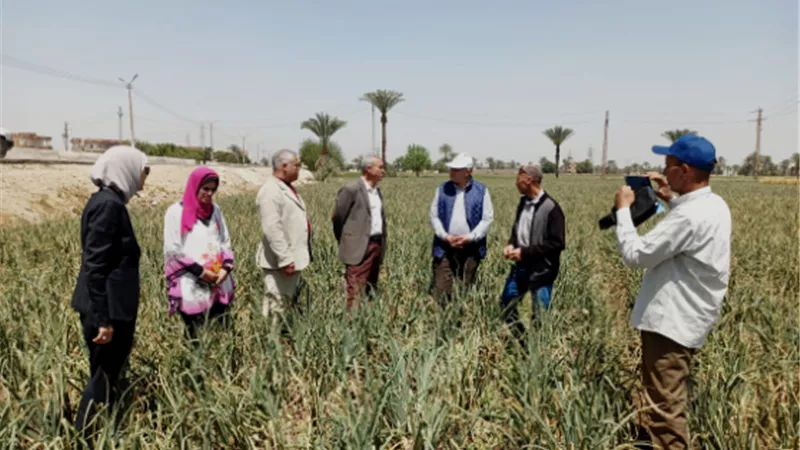 الزراعة : المركزية لمكافحة الافات تستعد للموسم الصيفي