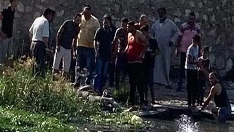 العثور على ساق كاملة لجسم إنسان بمياه نبروة بالدقهلية