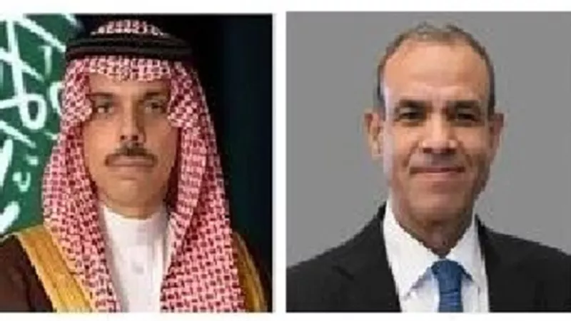 وزيرا خارجية مصر والسعودية: استمرار جهود العودة لاتفاق وقف إطلاق النار في غزة