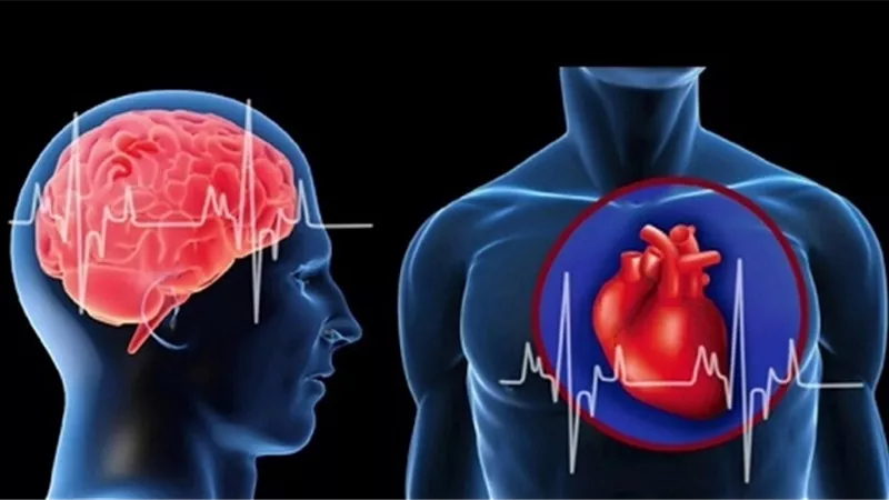 دراسة .. قصور القلب يسرّع شيخوخة الدماغ