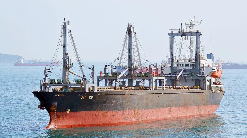 وصول 1700 راس عجول حية بوزن 510 طن لميناء سفاجا