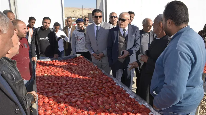الأقصر تستعد لتشغيل مجمع الصناعات الغذائية لتجفيف الطماطم بالكيمان