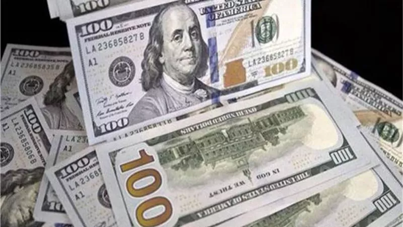 سعر الدولار اليوم مقابل الجنيه المصرى.. تحديث لحظي واستقرار نسبي