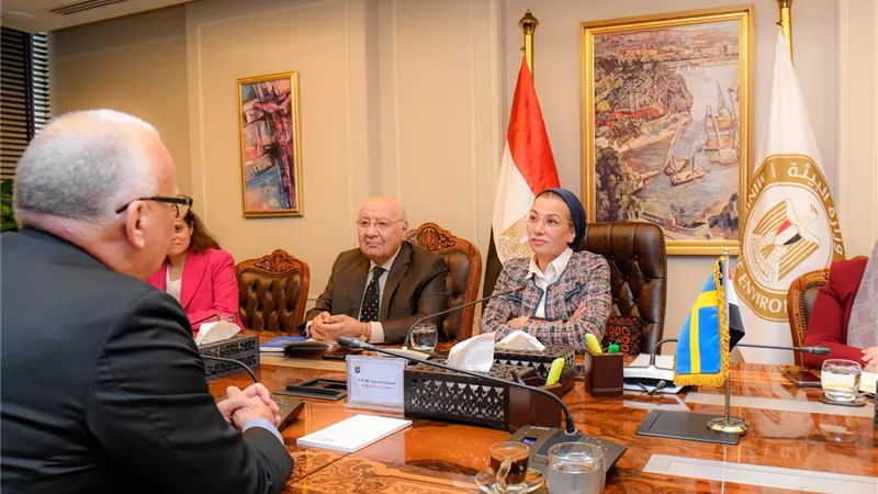 تعاون مصري سويدي في مجال التحول التحول الأخضر ودعم تغير المناخ