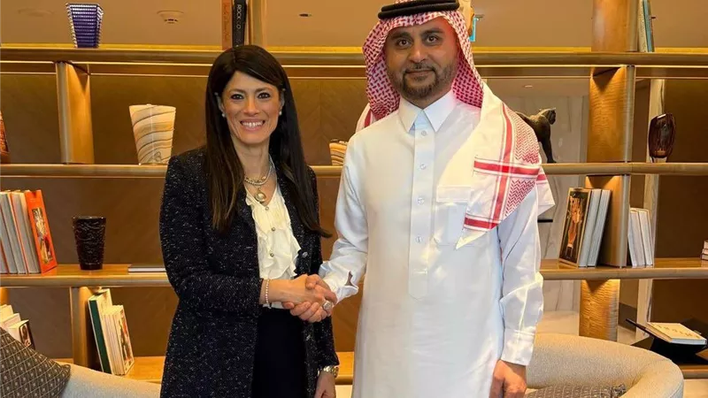المشاط تبحث مع مدير صندوق «أوبك» التوسع في تمويل القطاع الخاص