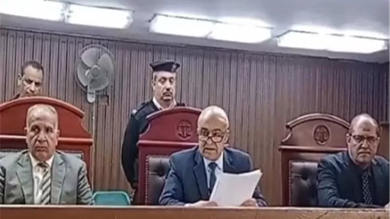 إحالة أوراق صاحب سيبر لمفتى الجمهورية لقتله زوجته بشبرا الخيمة