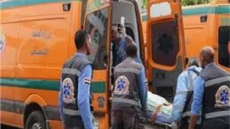 مصرع رائد شرطة صدمته سيارة اثناء نزوله لفحص بلاغ بالدقهلية