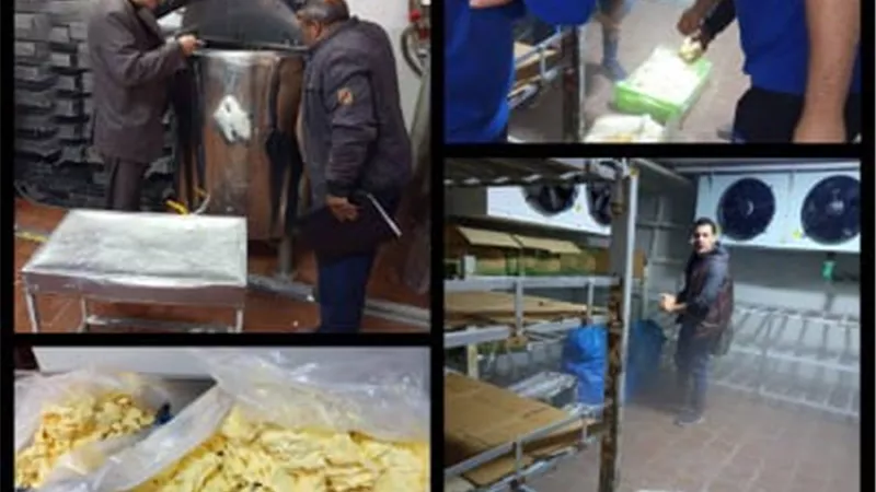 ضبط ١٨٠ كجم جبن وخليط دهون فاسدة ومجهولة المصدر بمصنع بالقليوبية