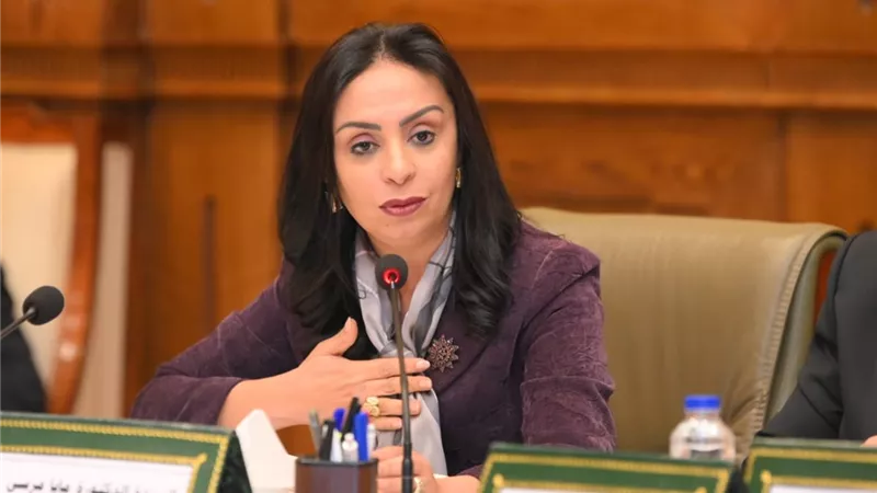 مايا مرسي تشارك في اجتماع لجنة التضامن بمجلس النواب