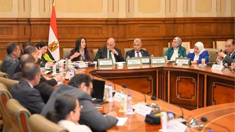 مايا مرسي أمام لجنة التضامن بالنواب: رفع موازنة الدعم النقدي 